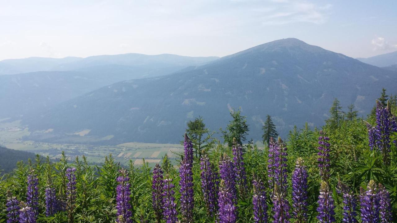 Villa Mountain View With Waterbed Sankt Michael im Lungau Dış mekan fotoğraf